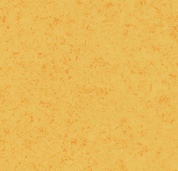 43C2205<br />jaune