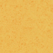 432205<br />yellow