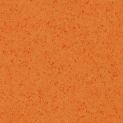 432246<br />orange