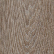 hazelnut timber