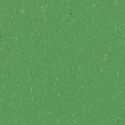 nettle green