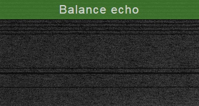 Balance echo
